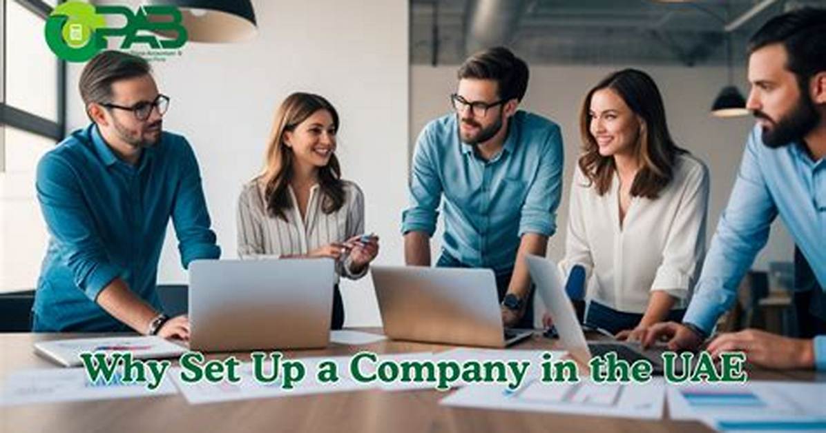 Why Set up a Firm?