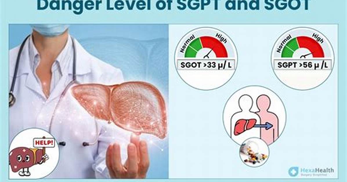 Why Sgpt Increase in Dengue?