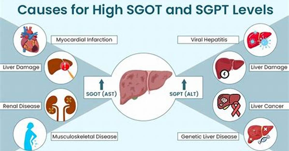 Why Sgpt Is High?