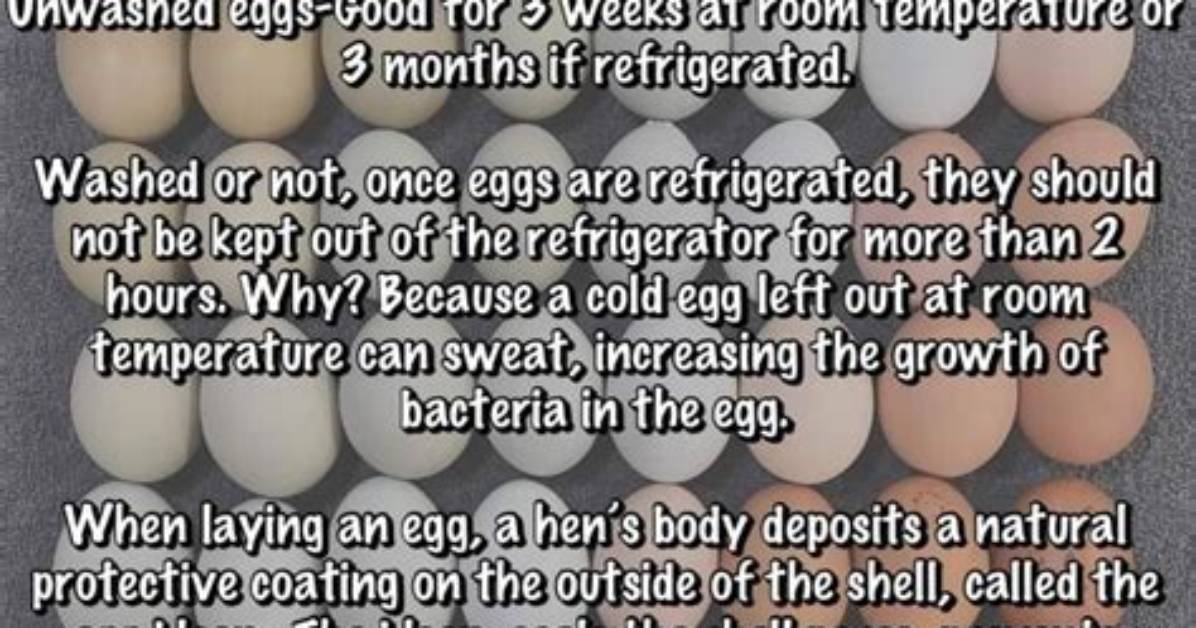 Why Should Eggs Not Be Washed Before Storing?