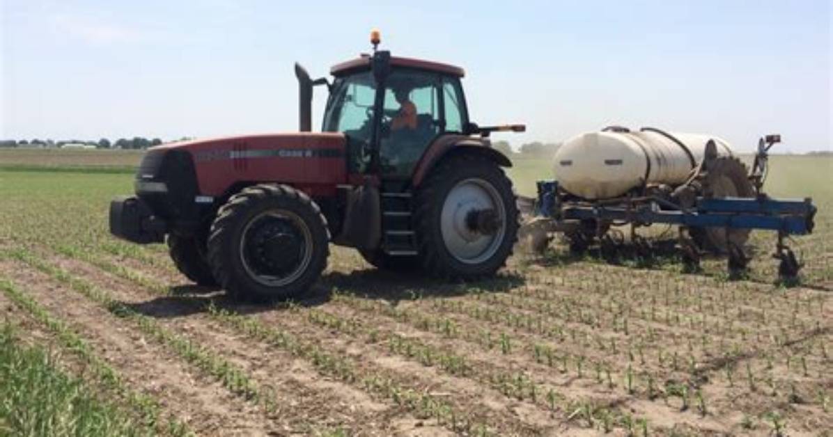 Why Side Dressing Corn?