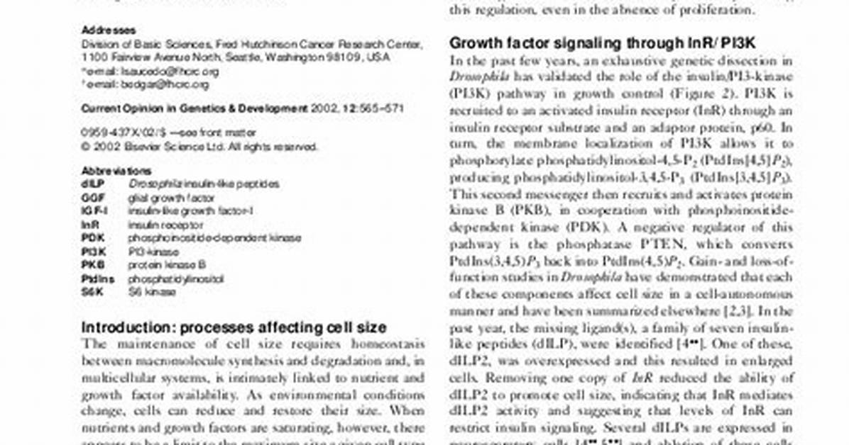 Why Size Matters Altering Cell Size?
