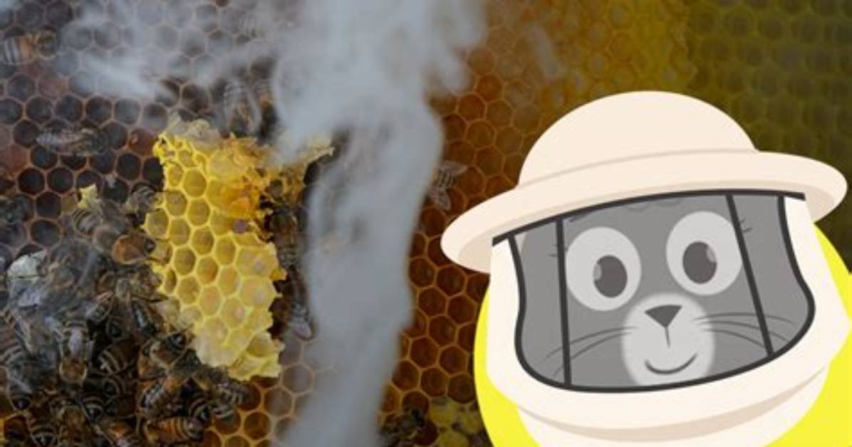 Why Smoke Calms Bees?