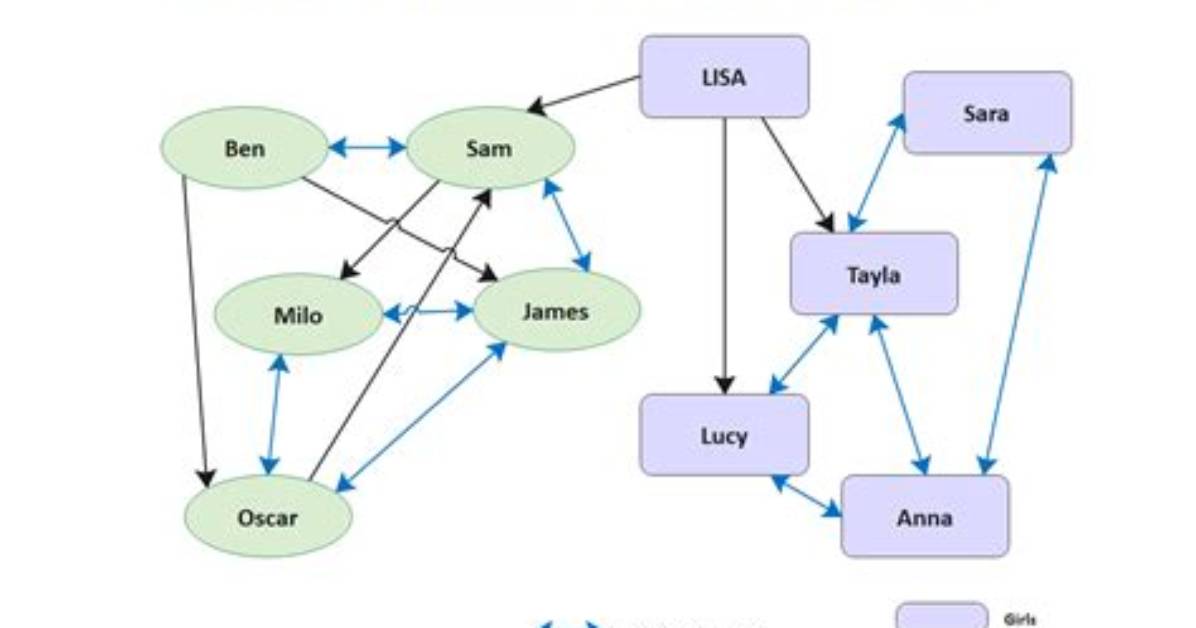 Why Sociogram Is Used?