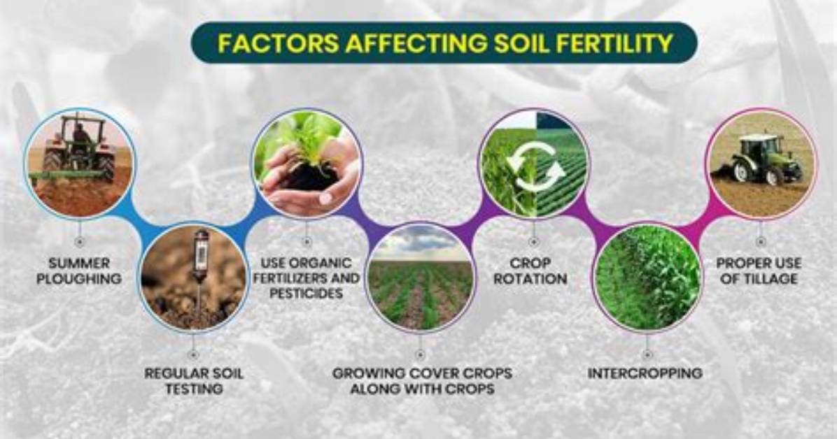Why Soil Fertility Declines?