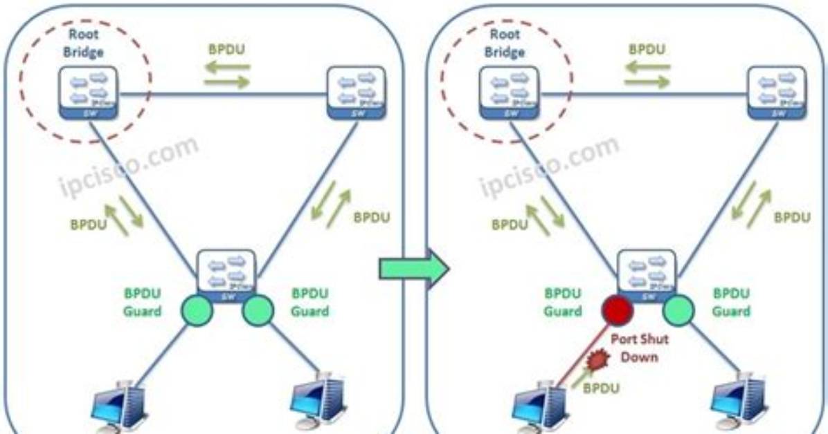 Why Spanning Tree Bpdu Filter Is Used?