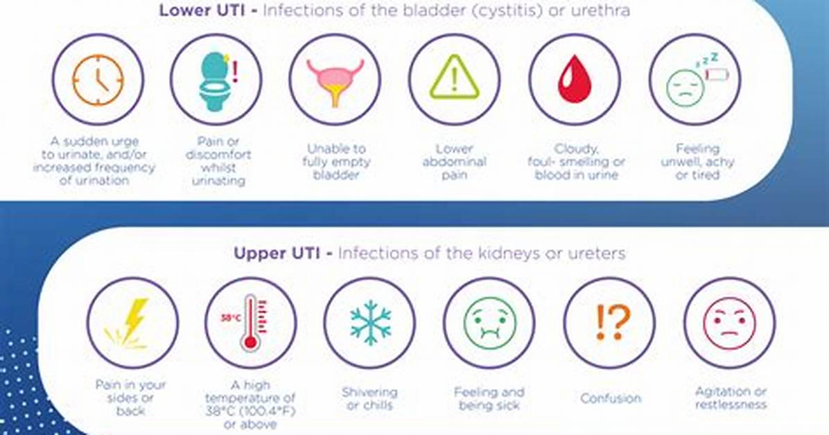Why Spermicide Causes Uti?
