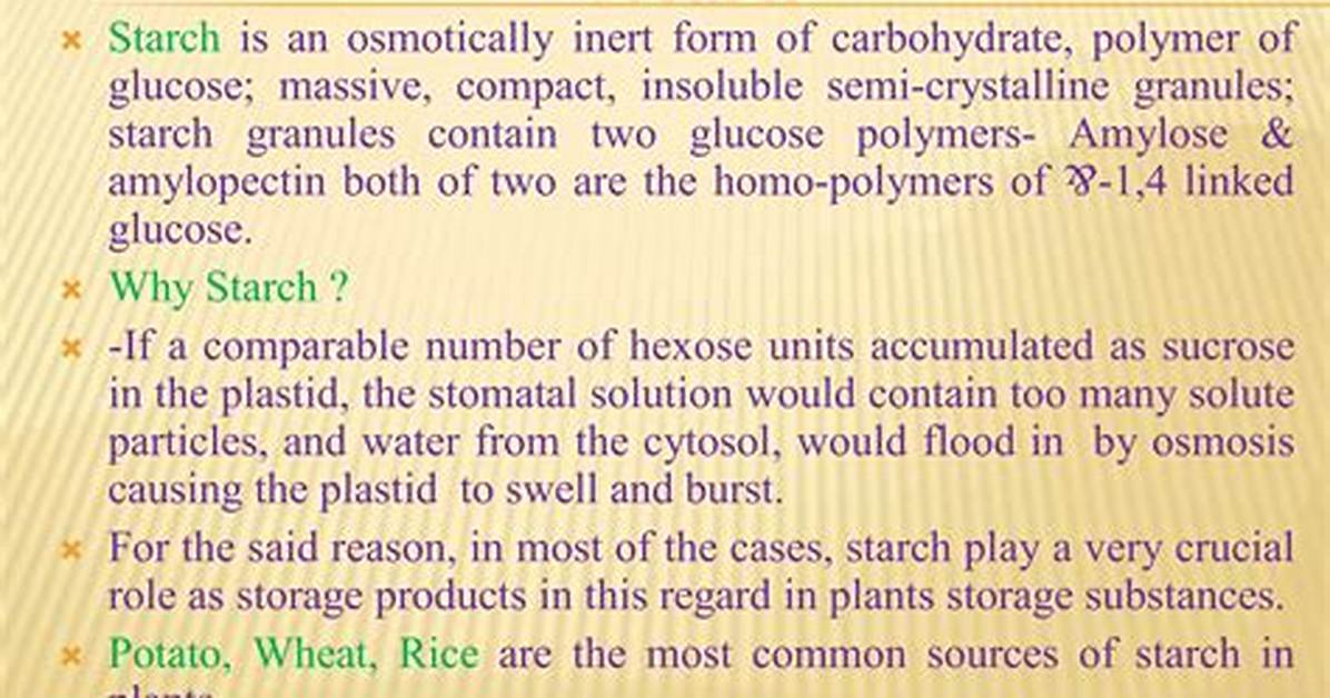 Why Starch Is Osmotically Inactive?