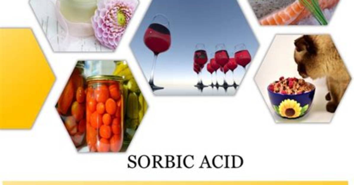 Why Take Sorbic Acid?