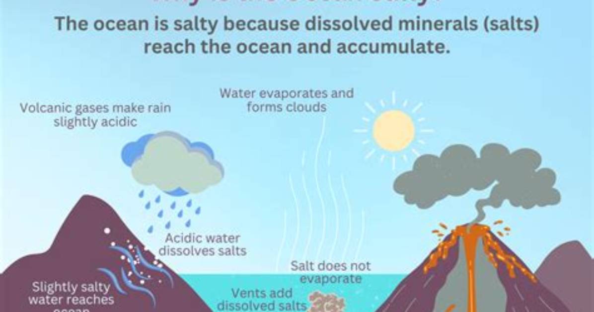 Why the Ocean Salty - Lisbd-Net. Com