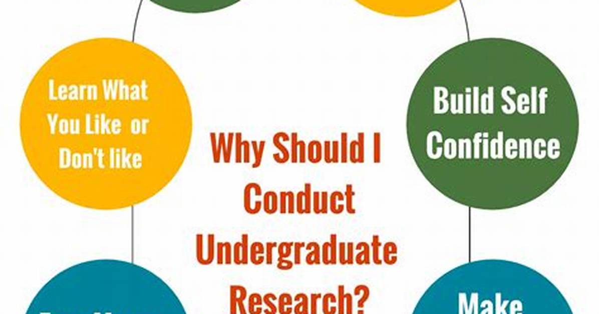 Why to Study Undergraduate?