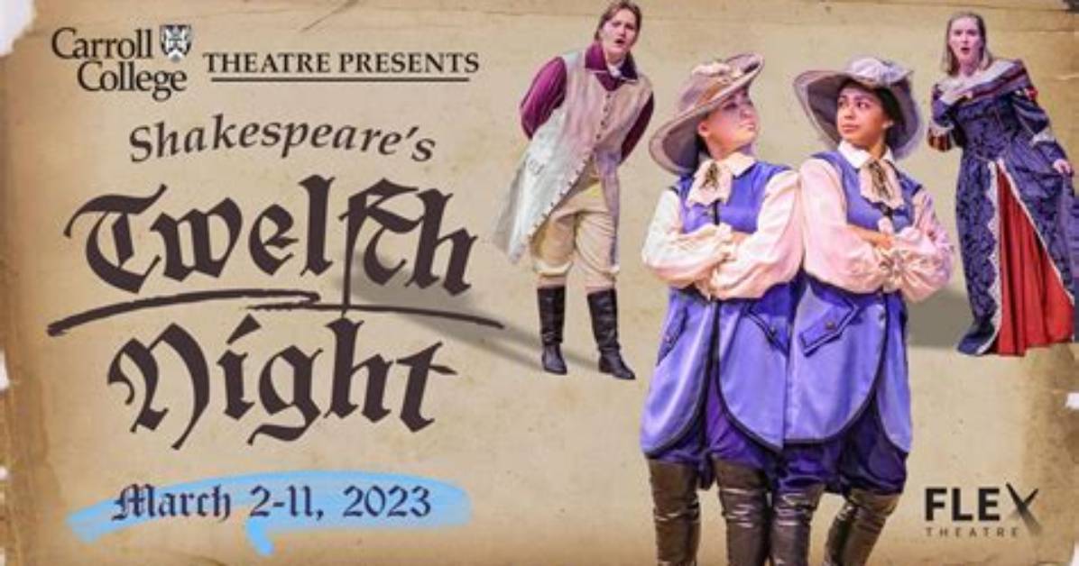 Why Twelfth Night Is a Comedy?