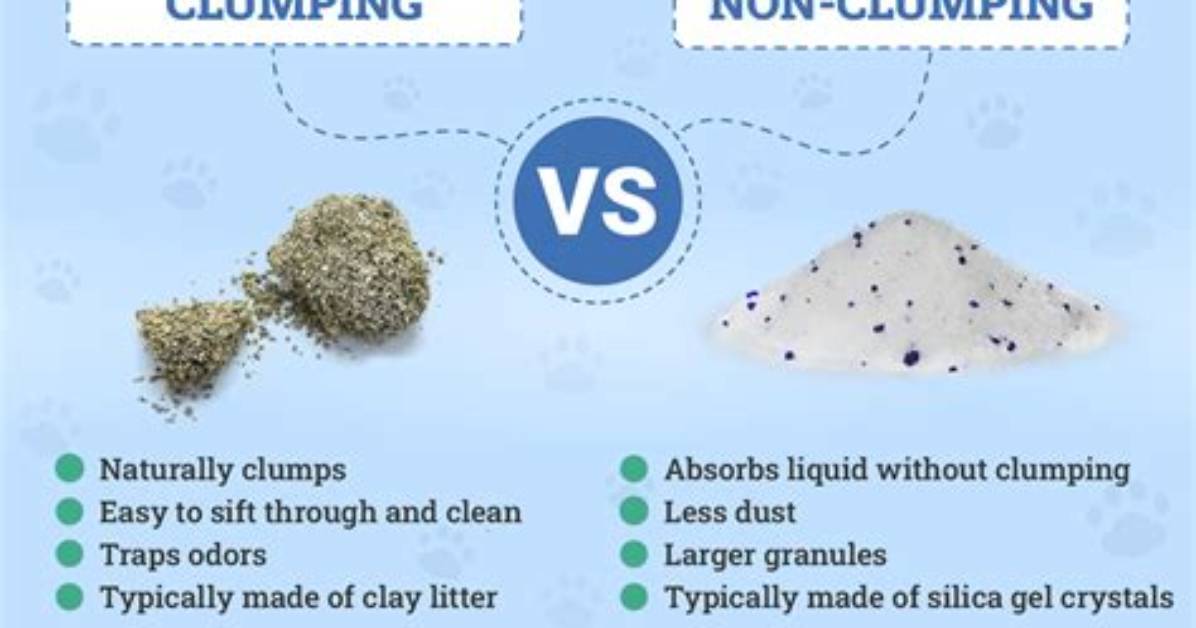Why Use Non Clumping Litter?