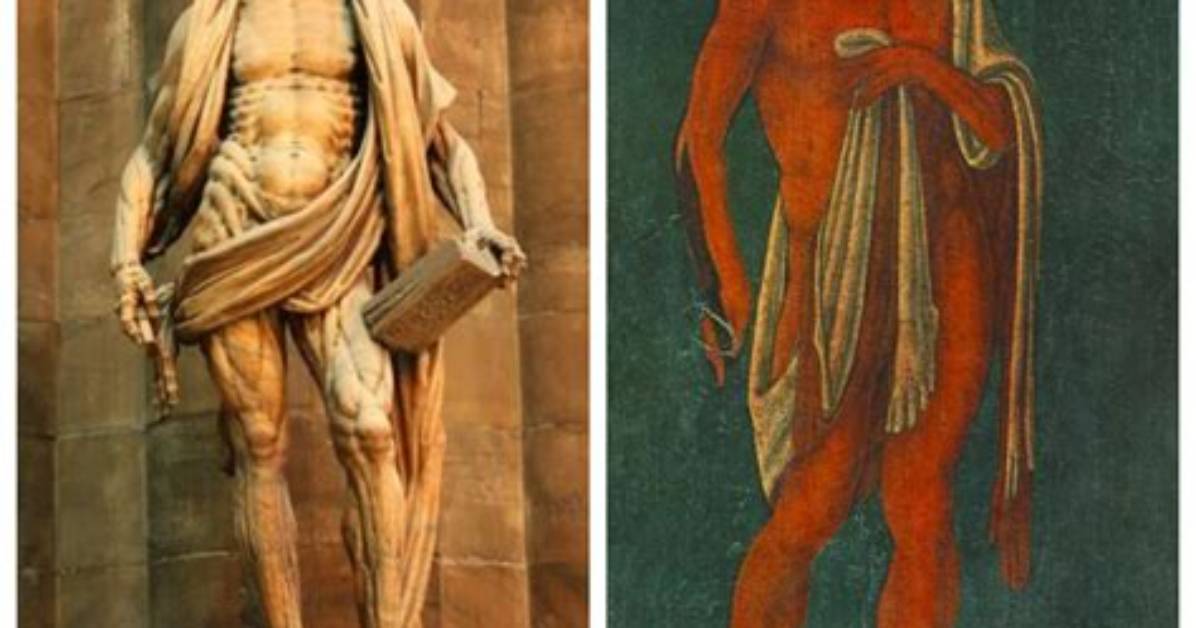 Why Was Bartholomew Skinned?