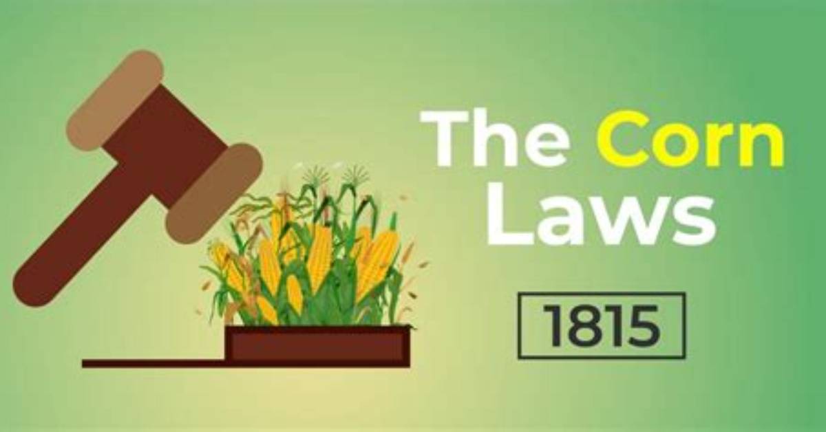 Why Was Corn Law Introduced?