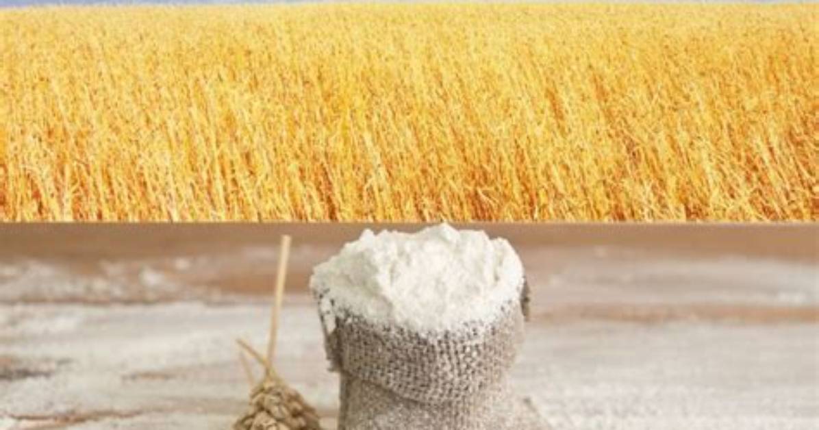 Why Was Flour Invented