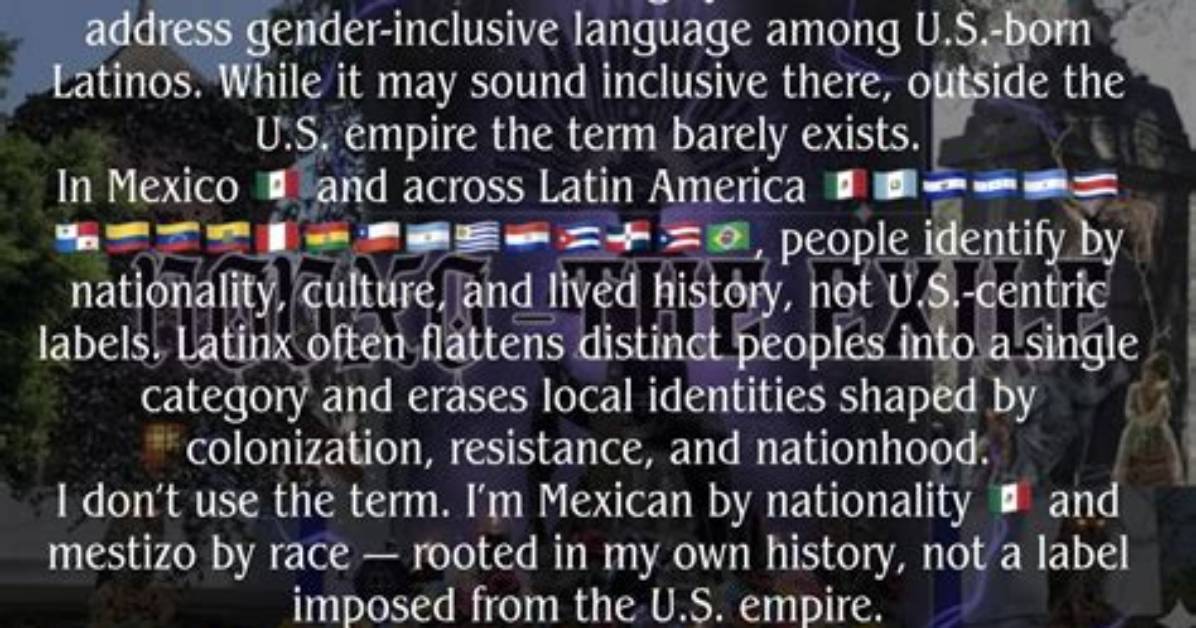 Why Was Mestizo Created?