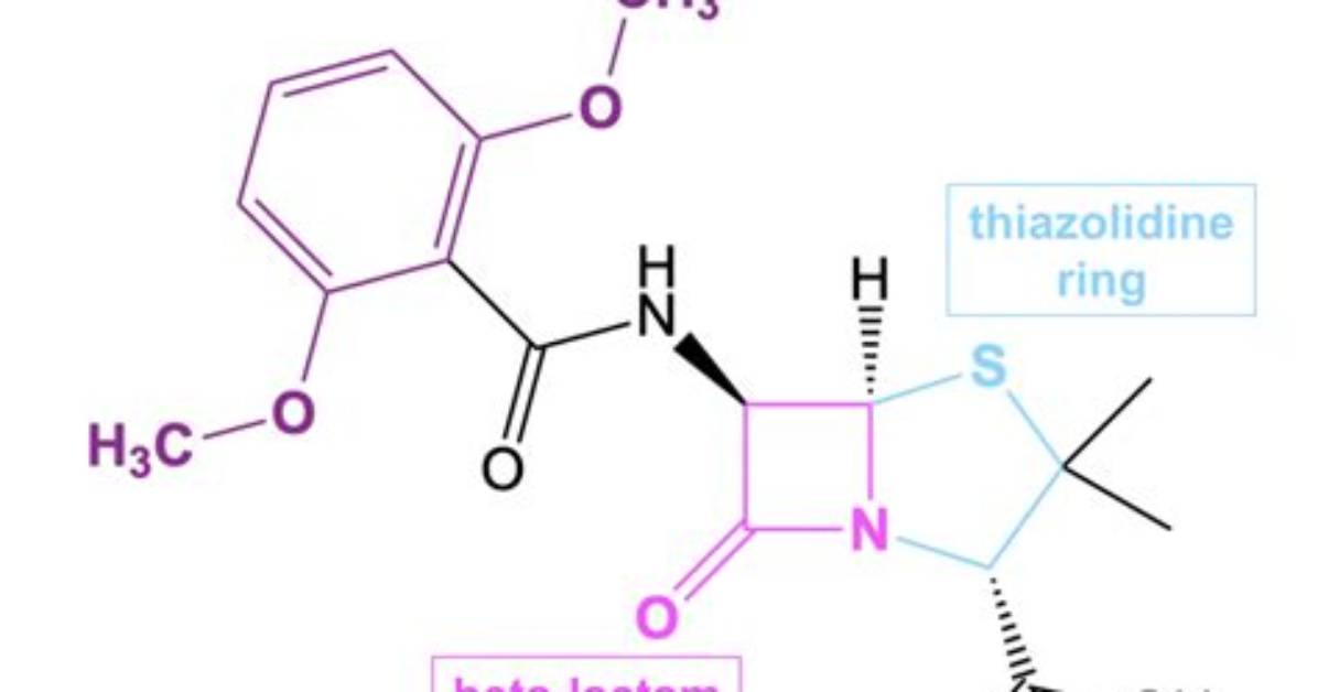 Why Was Methicillin Created?