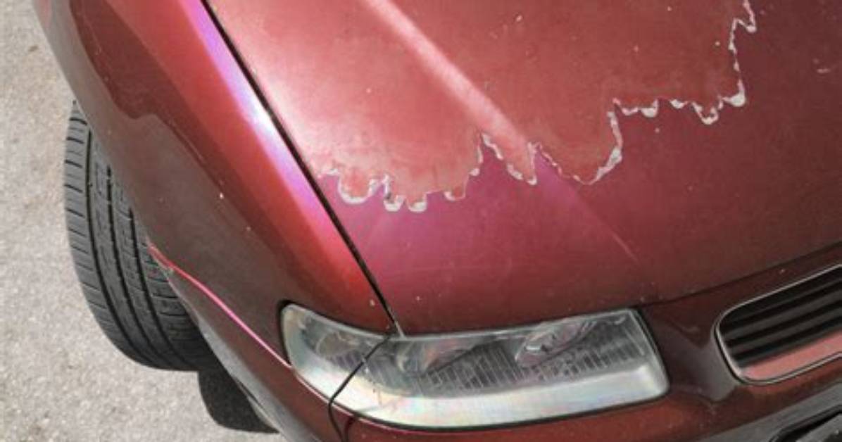 Why Was Red Paint Cheap?