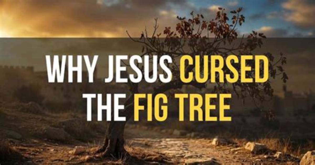 Why Was the Fig Tree Cursed by Jesus?