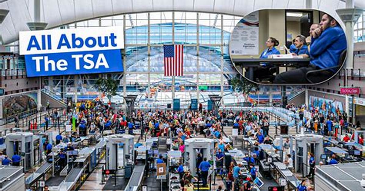 Why Was the Tsa Created
