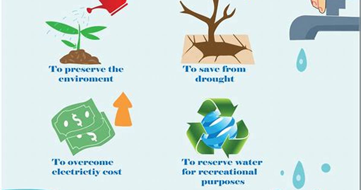 Why We Should Conserve Water