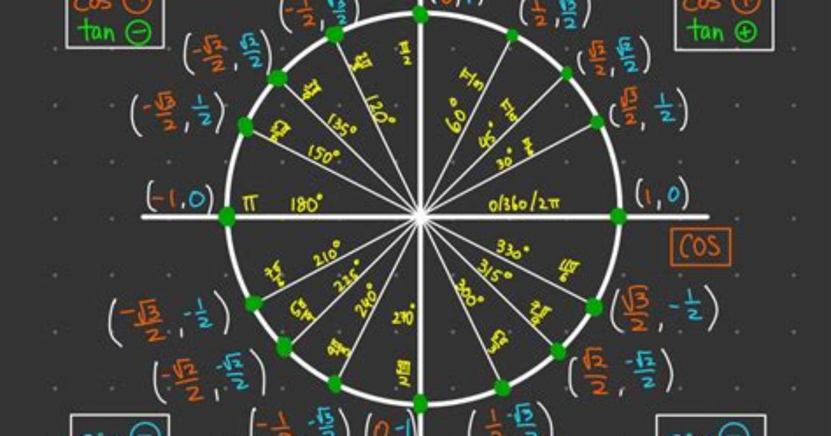 Why We Take Unit Circle in Trigonometry