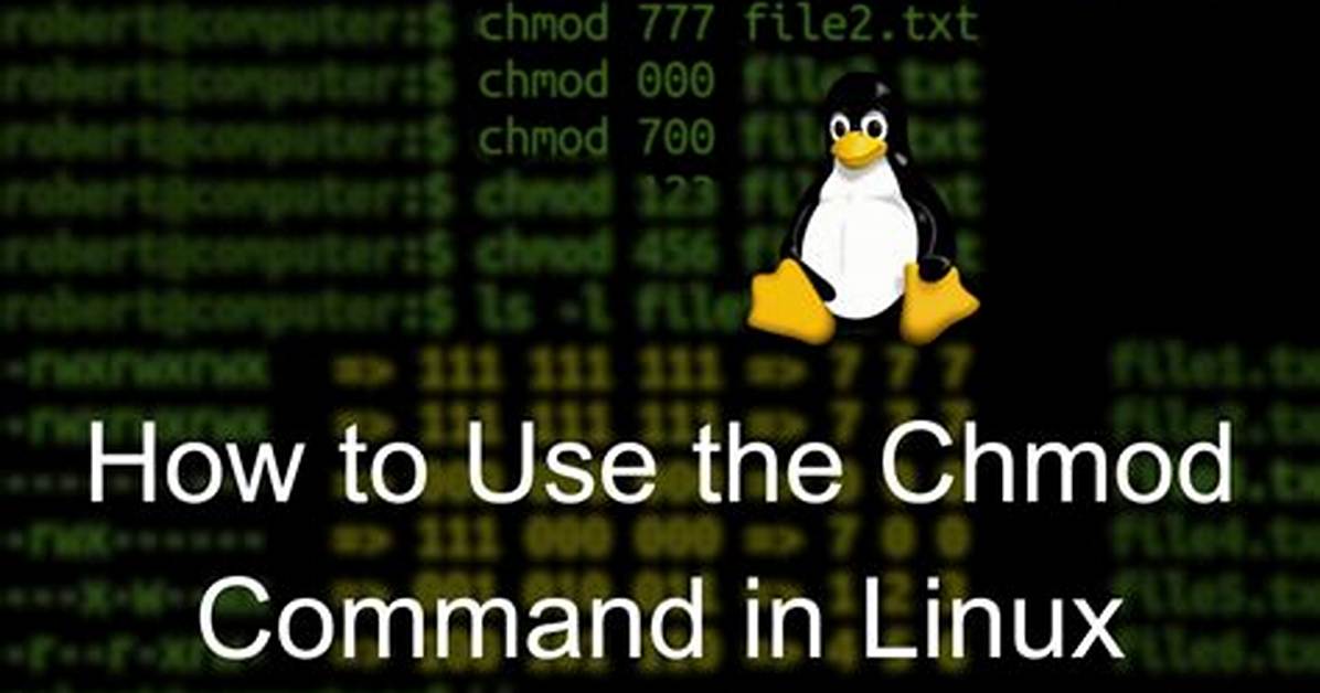 Why We Use Chmod in Linux?