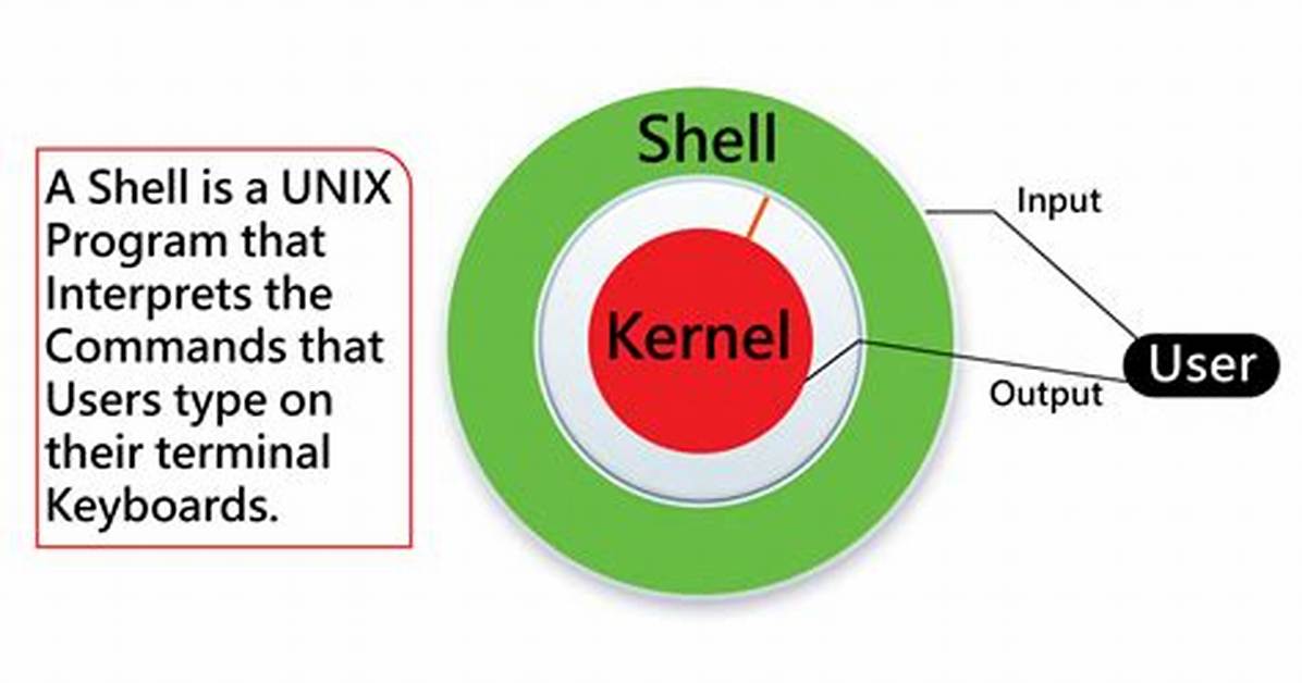 Why We Use Shell in Linux?