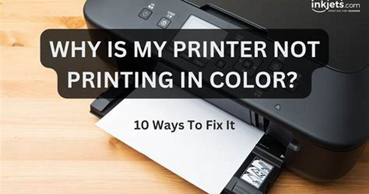 Why Will My Printer Not Print?