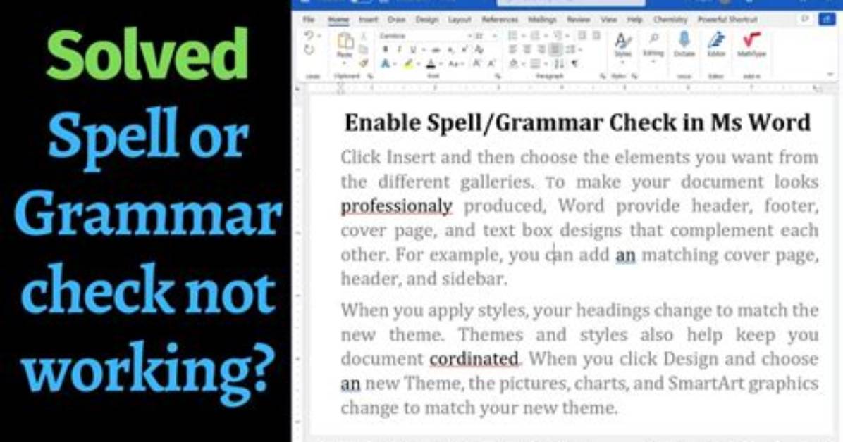 Why Word Spell Check?