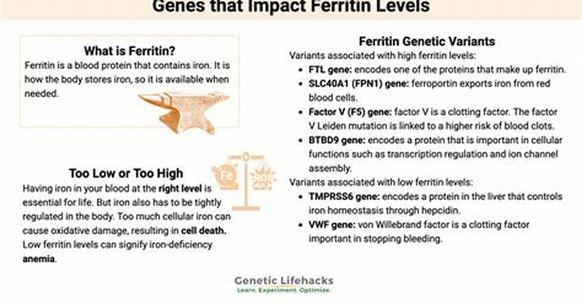 Why Would Ferritin Be Low?