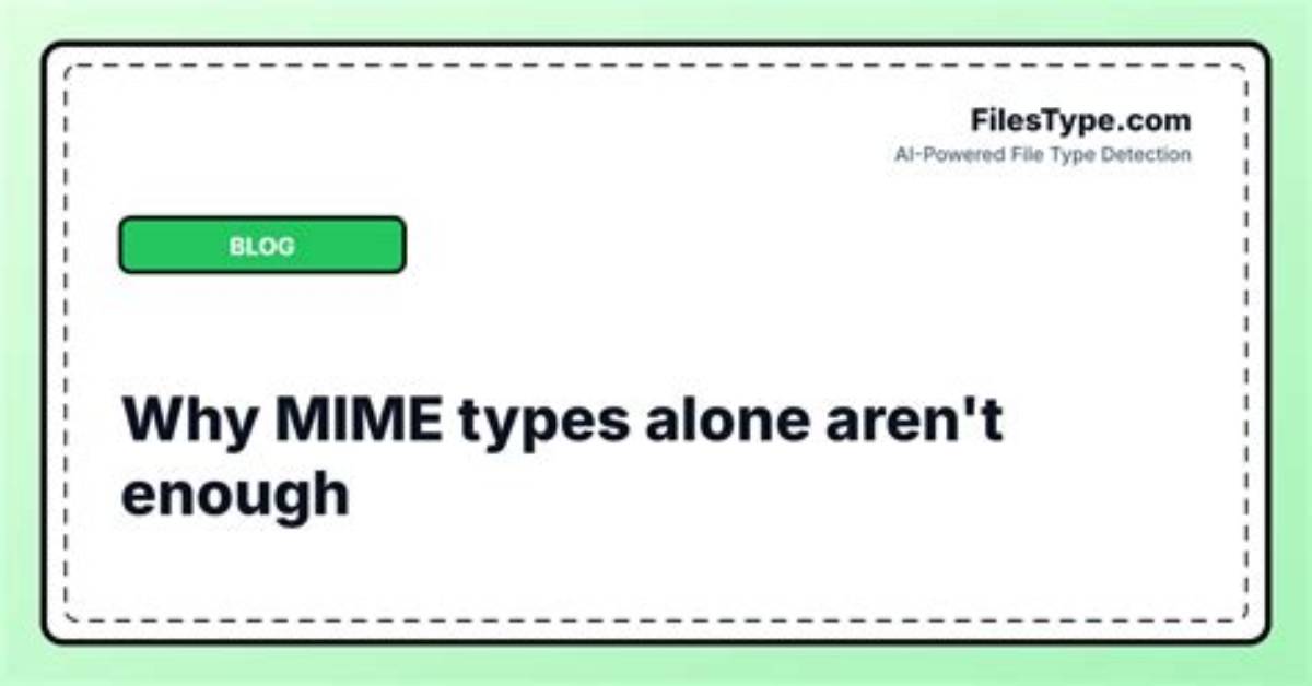 Why Write When the Mime Type Is Set by the Server?