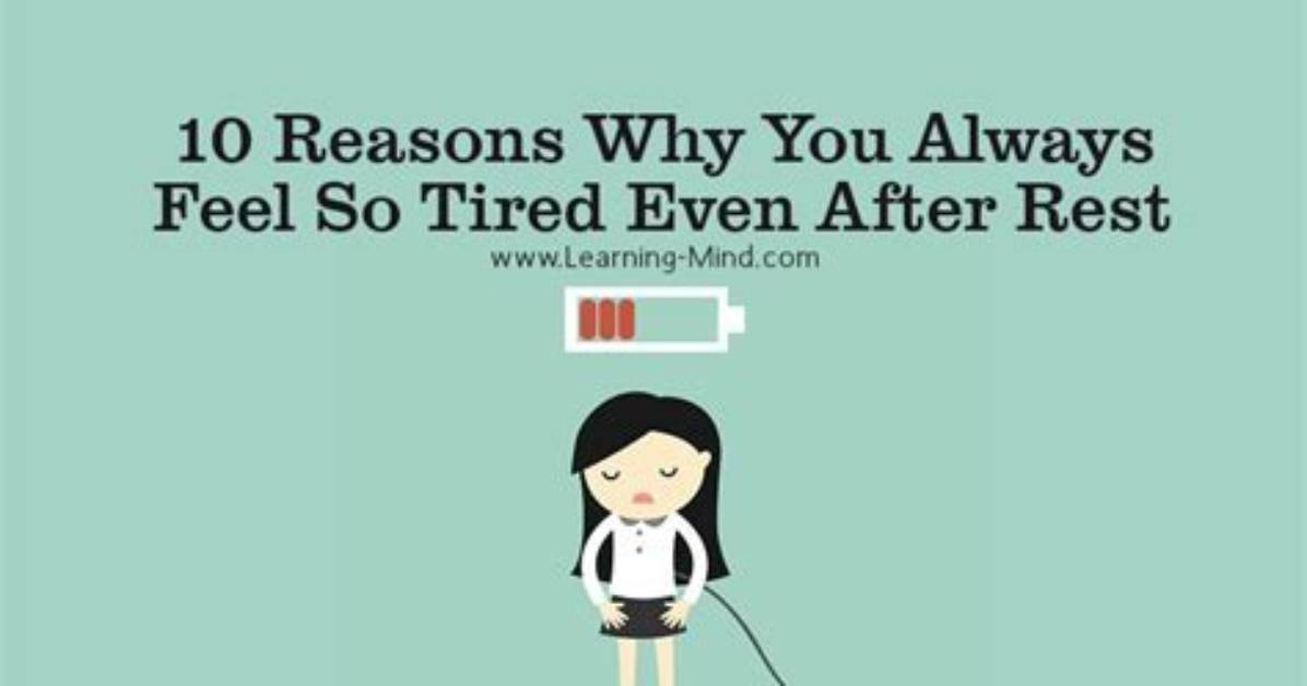 Why You Feel So Tired