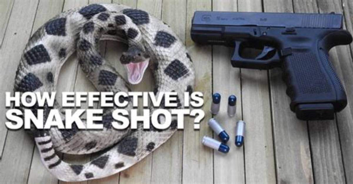 Will 22 Shotshell Kill a Snake?