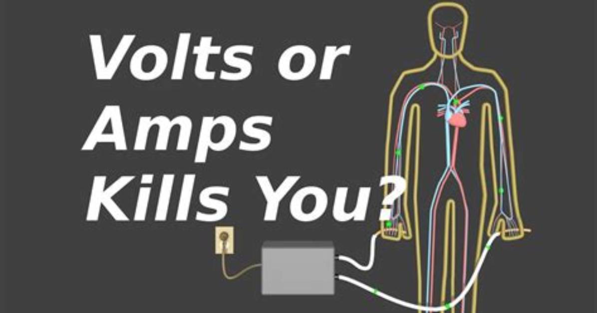 Will 5000 Volts Kill You