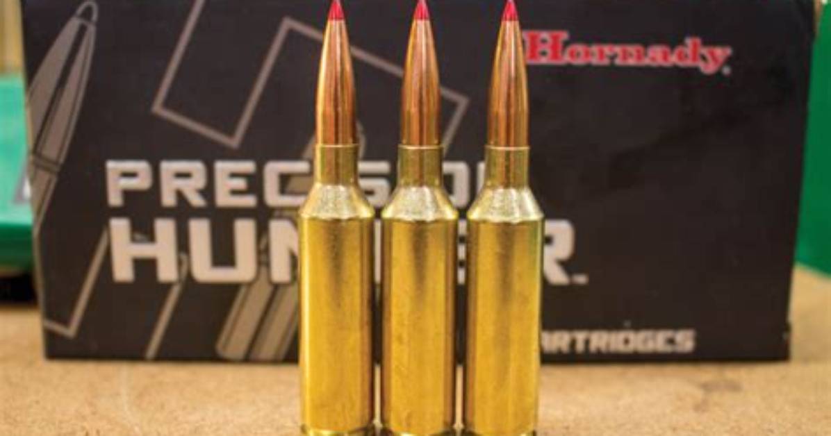 Will a 6.5 Prc Kill an Elk?