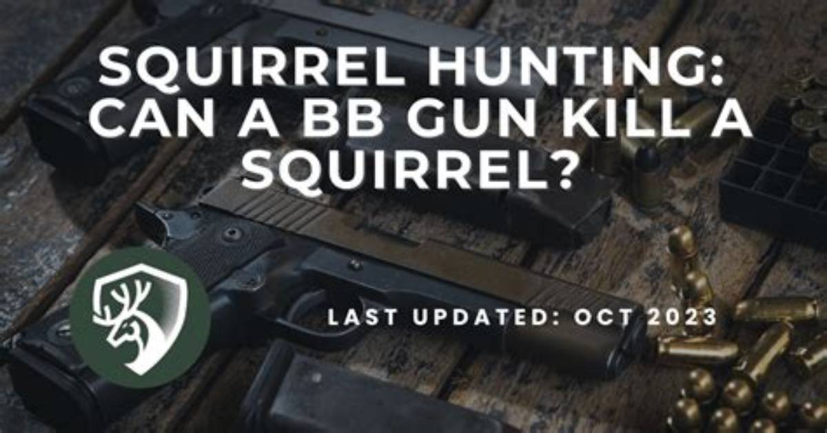 Will a Bb Gun Kill a Squirrel?
