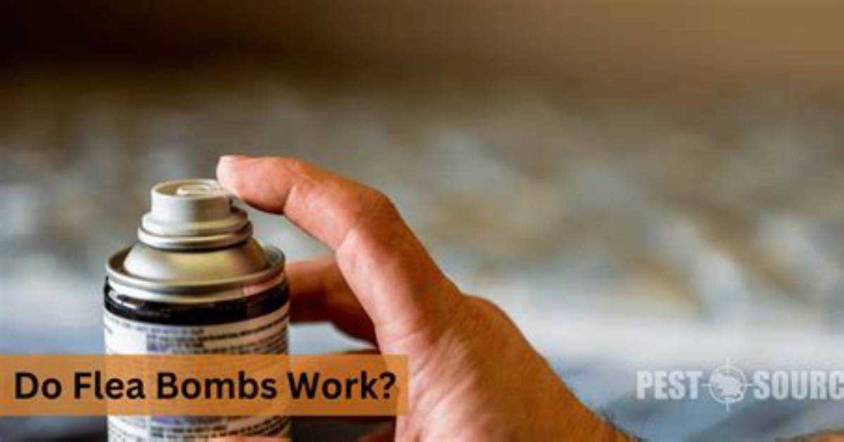 Will a Flea Bomb Kill Ticks
