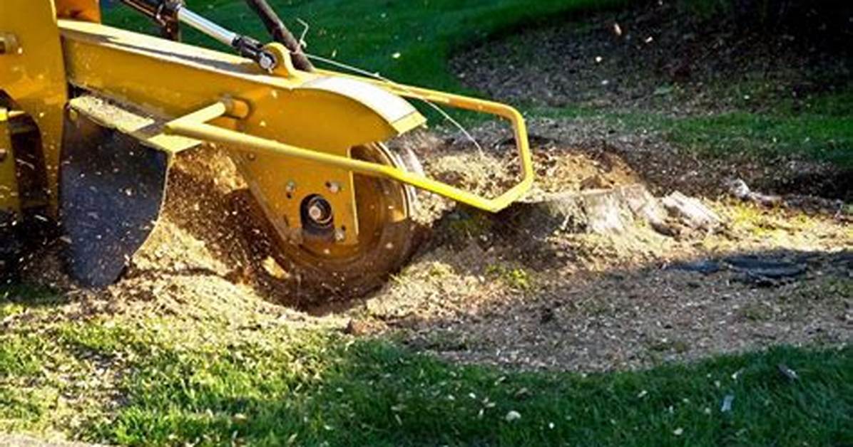 Will a Forestry Mulcher Grind Stumps?