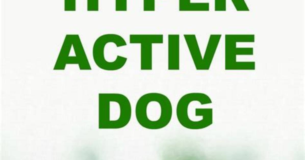 Will a Hyper Puppy Calm Down?
