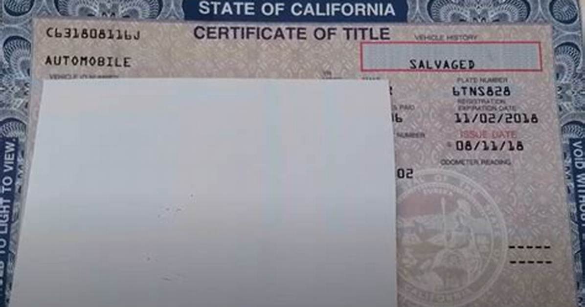 Will a Salvage Title Car?