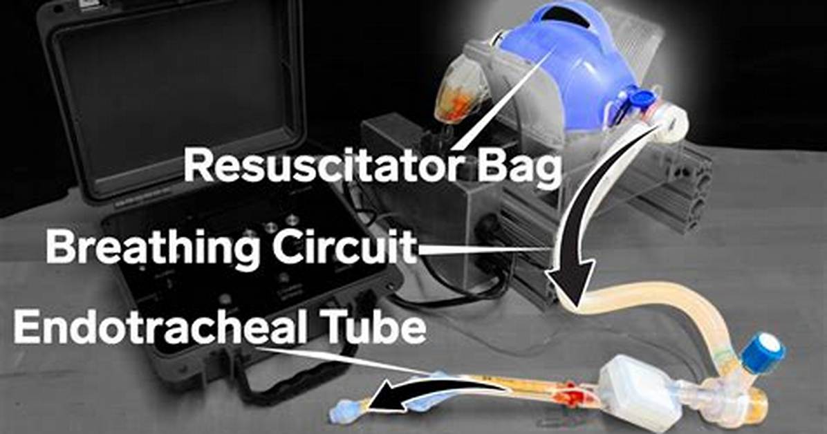 Will a Ventilator Keep You Alive?