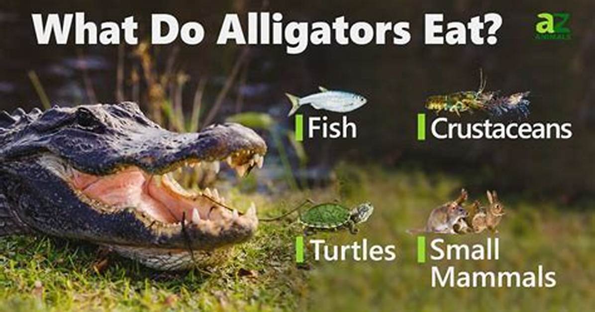 Will Alligators Eat Turtles?