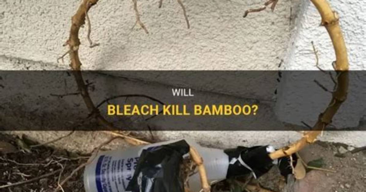 Will Bleach Kill Briars?