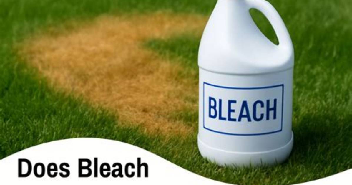 Will Bleach Kill My Lawn?