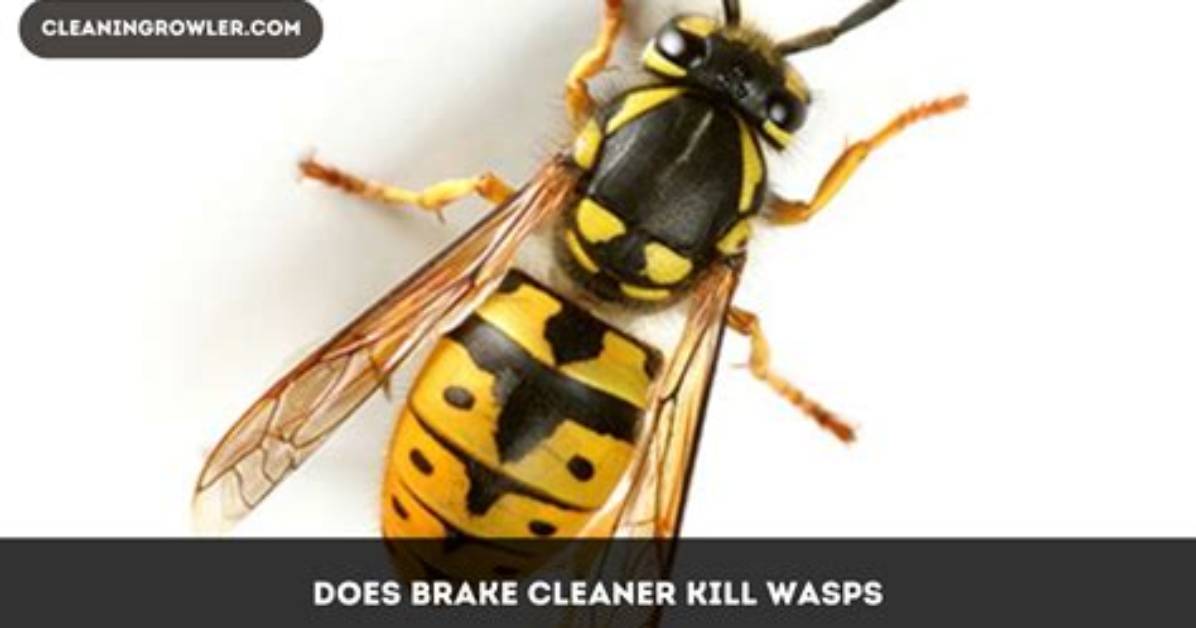 Will Brake Cleaner Kill Wasps?