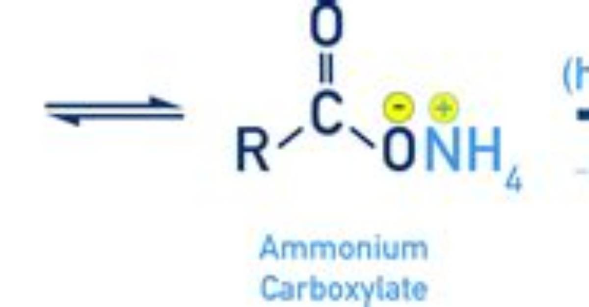 Will Carboxylic Acid React with Ammonia?