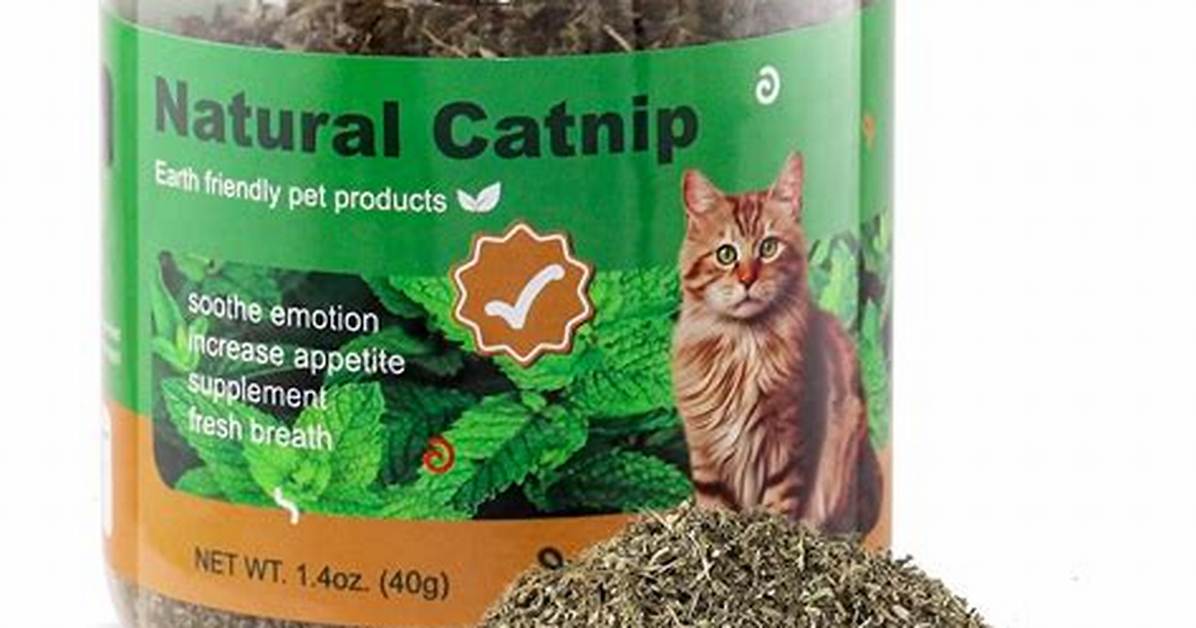 Will Catnip Spread