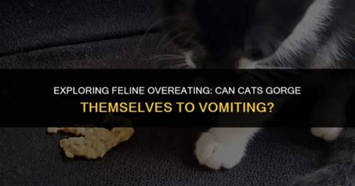 Will Cats Gorge Themselves?